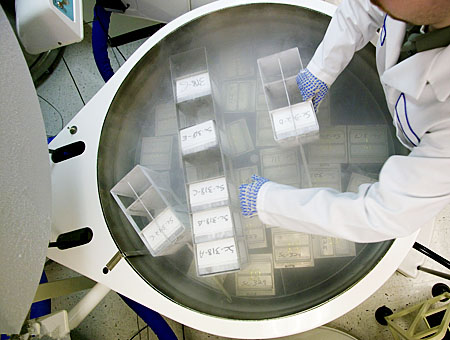 �P(gu��n)���҂�